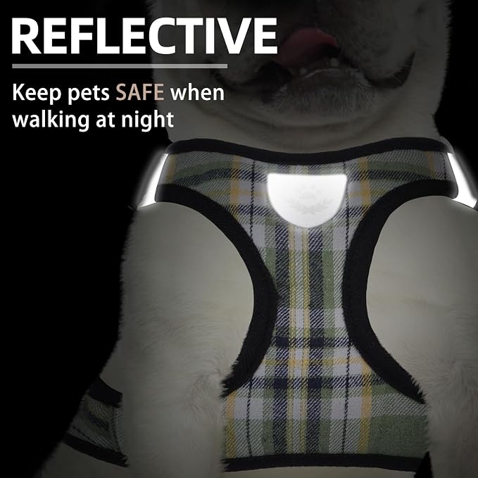 PUPTECK Adjustable Dog Harness Collar and Leash Set Step in No Pull Pet Harness for Small Medium Dogs Puppy and Cats Outdoor Walking Running, Soft Mesh Padded Reflective Vest Harnesses, Grn&YLW, M