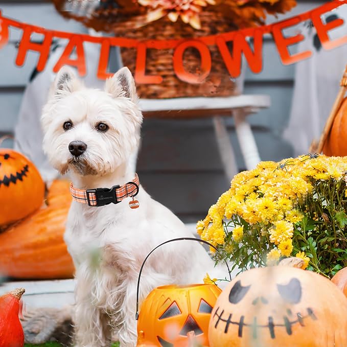 ARING PET Puppy Fall Dog Collar, Autumn Orange Black White Plaid Pet Collars for Small Medium Large Girl Boy Dogs Halloween-M Size