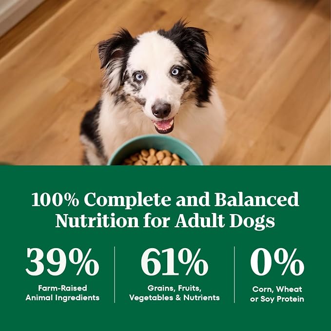 Nutro Natural Choice Dry Dog Food, Adult Dog Food Dry Lamb and Brown Rice Recipe, 30 lbs.