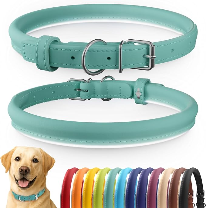 CollarDirect Reflective Rolled Leather Dog Collar, Soft Padded Round Puppy Collar, Handmade Genuine Leather Collar Dog Small Large Cat Collars 13 Colors (15-19 Inch, Mint Green Reflective)