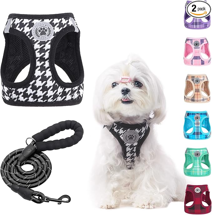 BEAUTYZOO Small Dog Harness and Leash Set,Step in No Choke No Pull Soft Mesh Dog Harnesses Reflective for Extra-Small/Small Medium Puppy Dogs and Cats, Plaid Dog Vest Harness for XS S Pets, Black XXS