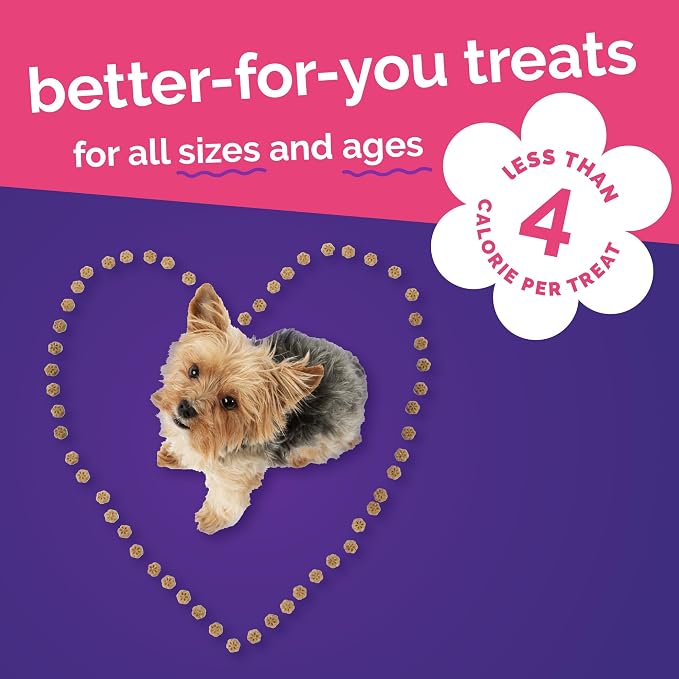 Fruitables Skinny Mini Dog Treats, Healthy Sweet Potato Treat for Dogs, Low Calorie & Delicious, Puppy Training, No Wheat, Corn or Soy, Made in the USA, Grilled Bison Flavor, 20oz