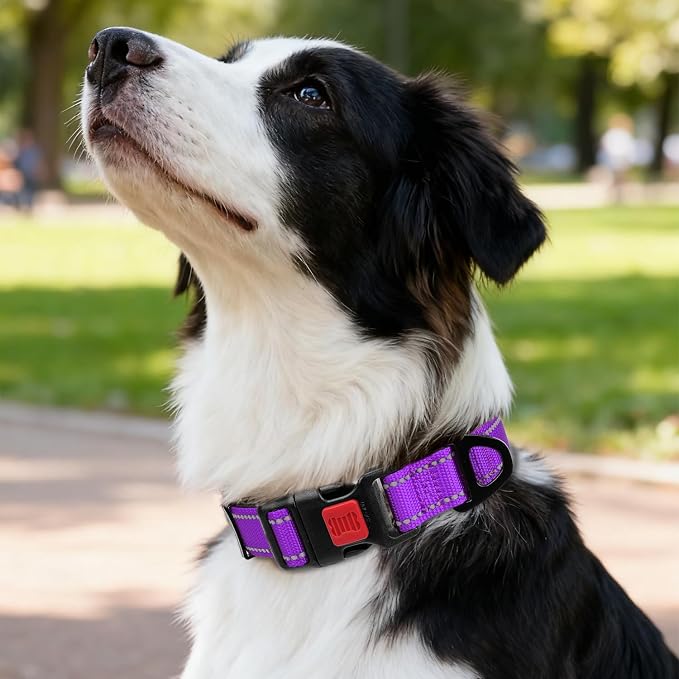 Taglory Reflective Dog Collar for Medium Dogs, Soft Neoprene Padded with Escape-Proof Locking Buckle, Upgraded Zinc Alloy Ring, Adjustable for Walking Female Male, Purple,M