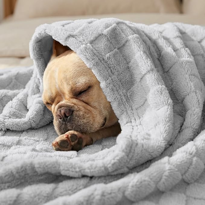 David's Home Large Dog Blankets Washable Pet Bed Cover Twin Size, Soft Fluffy Fuzzy Cat Puppy Blanket with Premium 300GSM Fleece for Pet Kitten Doggy, Light Grey, 66 * 90"