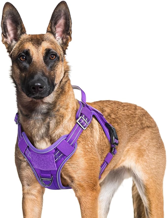 rabbitgoo Tactical Dog Harness for Large Dogs No Pull Adjustable Military Vest with Handle MOLLE Reflective Heavy Duty Dog Vest for Walking Training Hunting Outdoor Working Medium Size Dog Purple XL