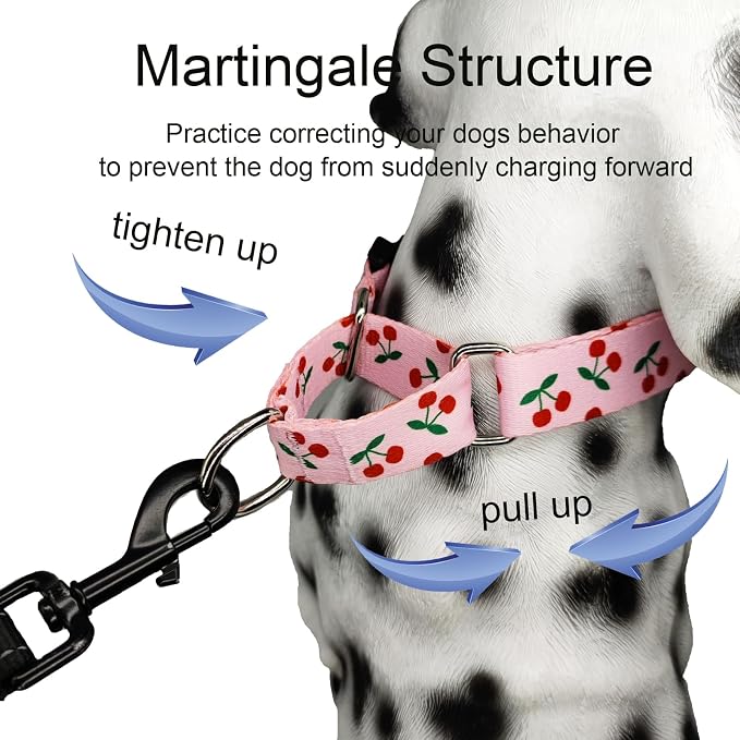 Martingale Collar for Small Dogs with Buckle No Pull Cute Girl Pink Dog Collars (Cherry, Small)