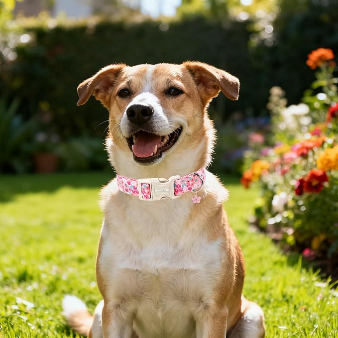DOGWONG Spring Dog Collar, Floral Cute Girl Dog Collars, Flower Dogs Collar, Adjustable Female Dog Collars for Medium Lrage Dogs, Neck 39-60 inches