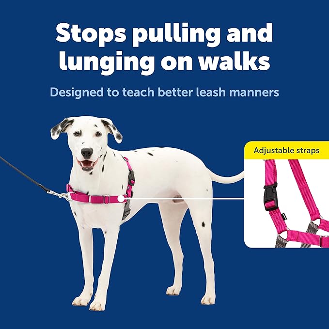 PetSafe Easy Walk No-Pull Dog Harness - Ultimate Harness to Help Stop Pulling - Pull-Free Walks - Take Control & Teach Better Leash Manners - Patented Martingale Loop Design - Raspberry, Medium/Large