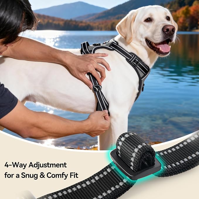 PHOEPET No Pull Dog Harness Reflective Adjustable with 2 Metal Leash Hooks and Soft Training Handle [Over The Head Design](S, Grey)