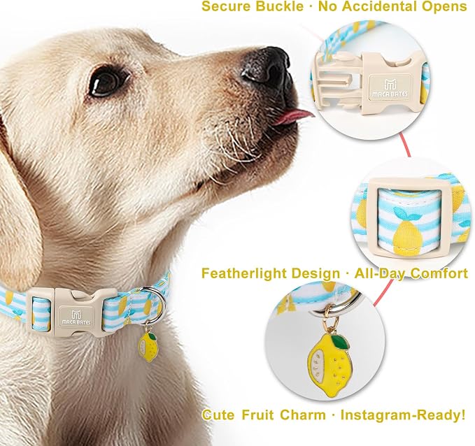 Maca Bates Summer Lemon Basic Dog Collar for Extra Large Boy Girl with Yellow Lemon Charm,Summer Lemons Pattern,Adjustable Durable Soft Birthday Gift for Male Female Puppy