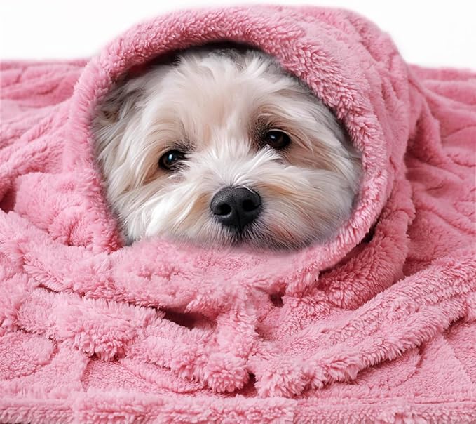 Luciphia 1 Pack 2 Small Dog Blanket Washable Pet Bed Cover Soft Fluffy Puppy Blanket with Premium Fleece 300GSM Cozy Calming Cat Blankets for Indoor Cats Pink/Beige 30x20 inch