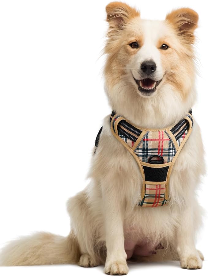 rabbitgoo Dog Harness No Pull with 2 Leash Clips, Adjustable Soft Padded, Reflective Oxford No Choke Pet Vest with Easy Control Handle for Medium Sized Dogs, Beige Plaid, M