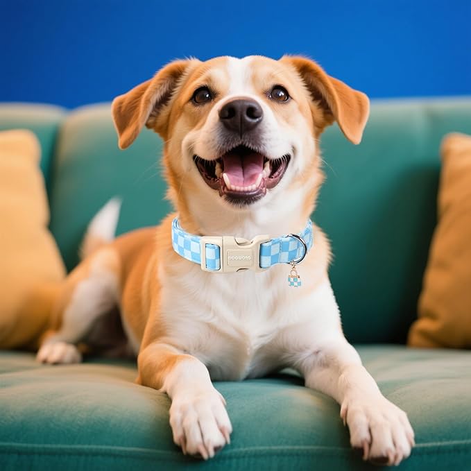 DOGWONG Blue Checkered Dog Collar, Blue Plaid Dog Collars, Adjustable Cute Boy Pet Collars Girl Design Dog Collar for Small Medium Large Dogs,M