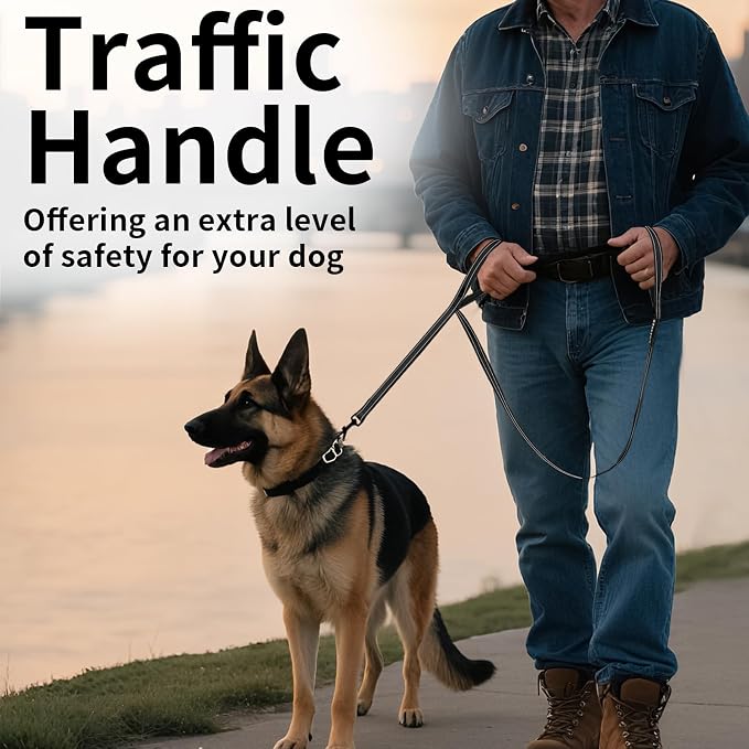 Reflective Dog Leash with Double Handle, Dog Leash 6 FT Long, Supports Medium, and Large Dogs, Heavy Duty for Walking, Running, and Training, Black