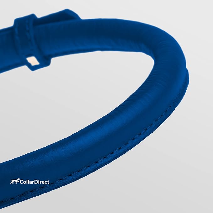 CollarDirect Rolled Leather Dog Collar, Soft Padded Round Puppy Collar, Handmade Genuine Leather Collar Dog Small Large Cat Collars 13 Colors (8-11 Inch, Deep Blue Textured)