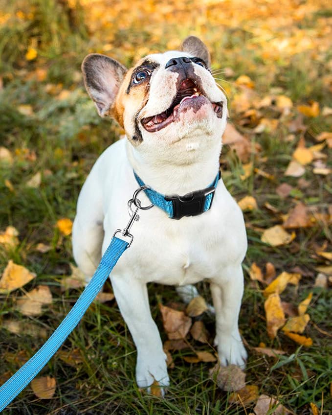 FunTags Length 10" - 16" Reflective Sky Blue Dog Collar for Small Dogs – Night Walking & Training Safety, Durable Quick Release Buckle, Nylon, Comfortable Adjustable, Width 3/4"