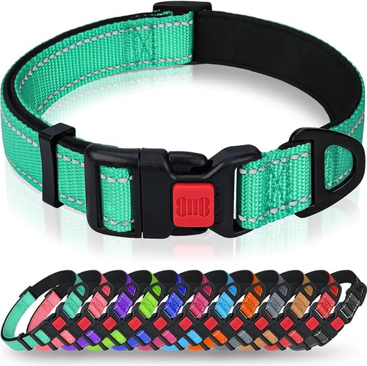 Taglory Reflective Dog Collar for Small Dogs, Soft Neoprene Padded with Escape-Proof Locking Buckle, Upgraded Zinc Alloy Ring, Adjustable Nylon Collar for Walking, Turquoise,S