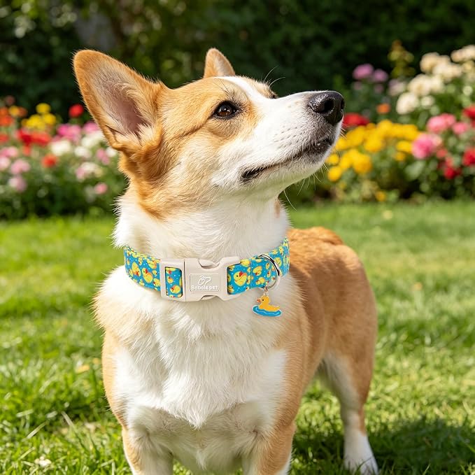 Cute Dog Collar Rubber Duck Girl Boy Dog Collars for Large Dogs - Lightweight Adjustable Male Female Summer Puppy Everyday Collar with Safety Buckle L