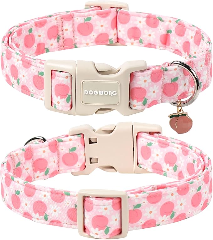 DOGWONG Pink Dog Collar, Pink Peach Dog Collar with Plastic Buckle,Girl Female Dogs Collars for Medium Dogs, Neck 14-21 inches