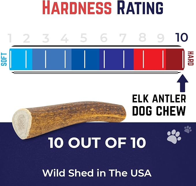 Devil Dog Pet Co. Elk Antlers for Dogs, Natural Dog Chew for Aggressive Chewers - Long Lasting and Odor Free - USA Sourced - Cleaner Teeth, Anxiety & Boredom Relief - Whole Small 4"+ - Antler Bone