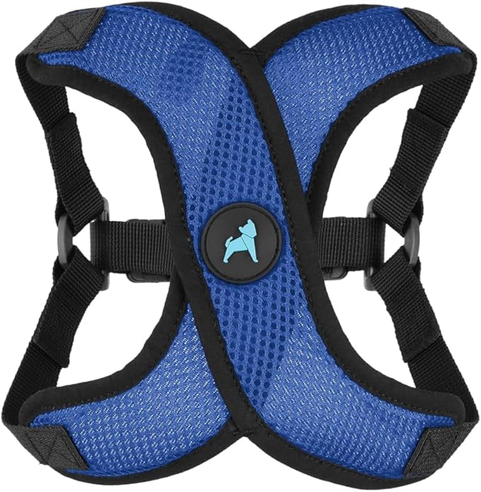 Gooby Comfort X Step in Lite Dog Harness - Choke Free, Escape Free with Light Breathable Mesh - Step in Dog Harness for Small Dogs Only - Quick Release Buckle, Metal D-Rings - Blue, Small
