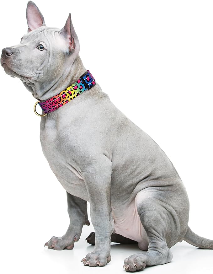 Reflective Dog Collar for Medium Dogs, Cute Leopard Style Adjustable Heavy-Duty Nylon Puppy Collar for Boy and Girl Female, Soft Pet Accessories with Quick Release Buckle, Neon
