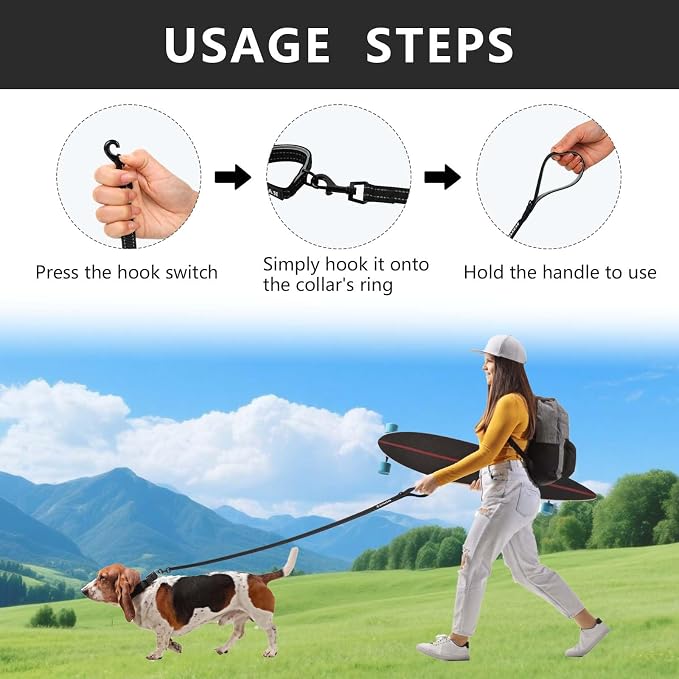 Reflective 6 FT Dog Leash, Premium Traditional Style Puppy Leash with Easy to Use Collar Hook for Small, Medium, and Large Breed Puppies (Black, 3/4 in x 6 ft)
