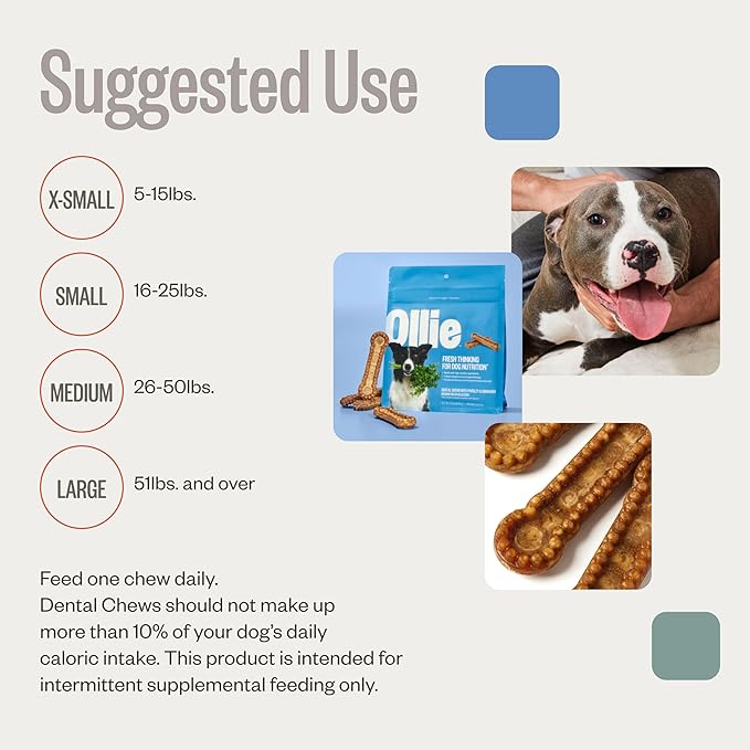 Ollie Dental Chews for Small Dogs, 12 Oz, Fresh Breath, Teeth Cleaning Treats, Sticks for Dog Oral Care, with Parsley and Cinnimon, for Pups 16-25 lbs
