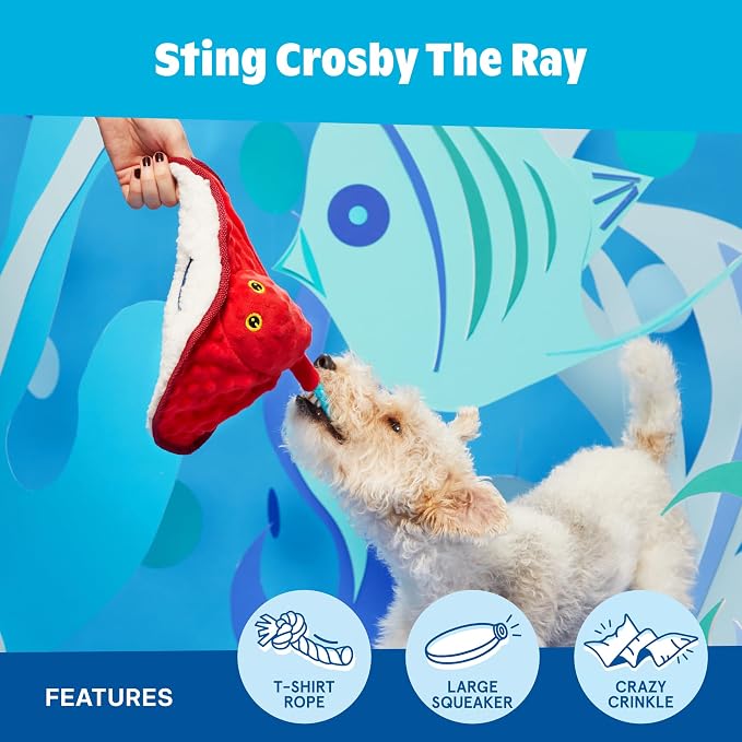 Barkbox Sting Crosby the Ray Dog Toy | Plush Stingray with T-Shirt Rope, Large Squeaker & Crinkle | Tug & Squeak Toy for Dogs