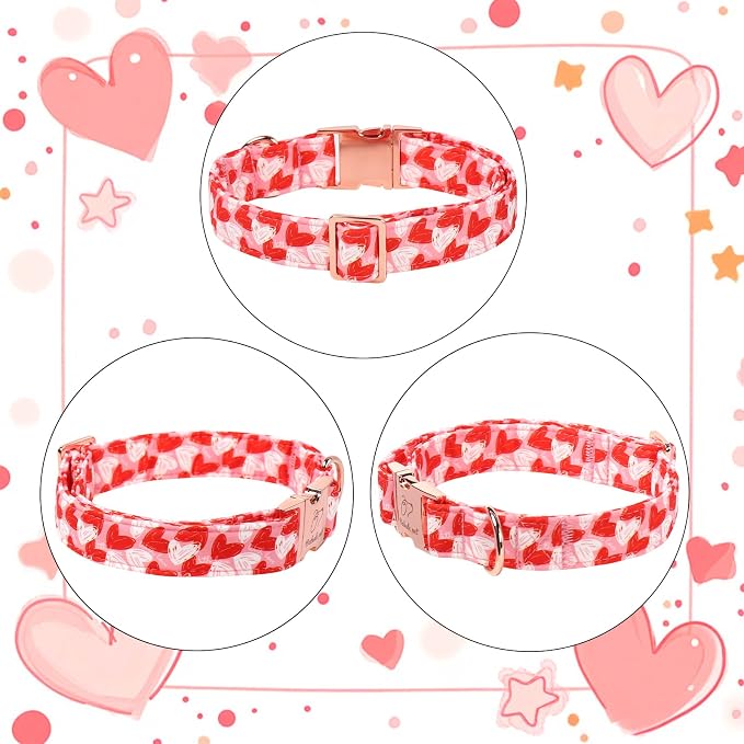 Valentines Dog Collar, Cute Pink Valentine Dog Collars, Doodle Heart Pattern, Adjustable Heavy Duty Pet Collar for Small Medium Large Dogs with Metal Buckle M