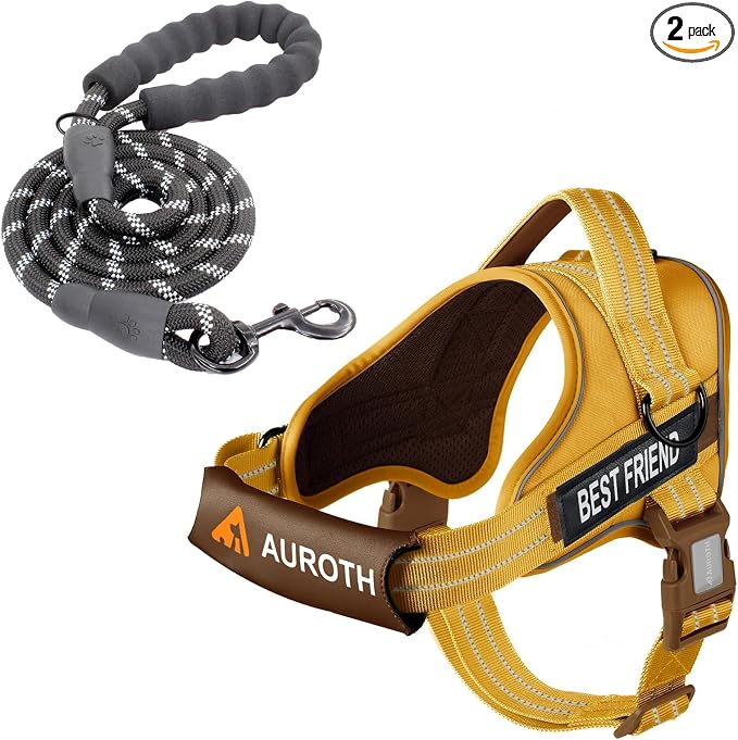 AUROTH Dog Harness and Leash Set, Soft Padded Service Dog Vest with 5.25FT Dog Leash, No Choke, Easy On Pet Vest, Adjustable Reflective No Pull Dog Harness for Large Dogs, Easy Walking and Training