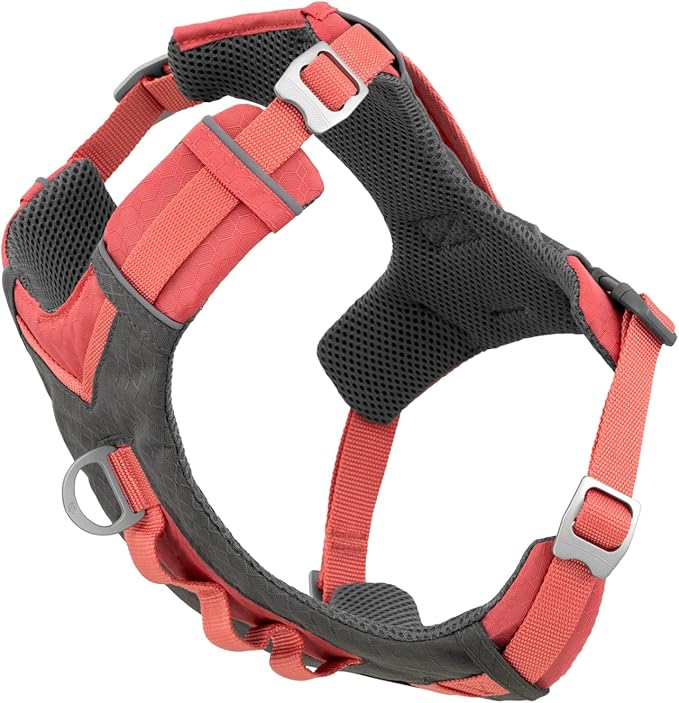 Kurgo Journey Air Dog Harness - Secure Fit for Active Dogs - Padded Chest - Lightweight Ripstop Fabric - Breathable Mesh - Reflective Trim - Back Assist Handle - Coral - Large