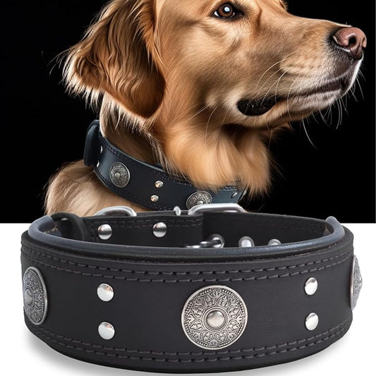 Genuine Leather Dog Collar for Large Dogs,2 in Wide Heavy Duty,BK-S | Handmade,Stainless Steel Pin Buckle,Soft Padded,Alloy Studded,Luxury Eye-catching Design,Medium Large Giant Breeds,15-19 in