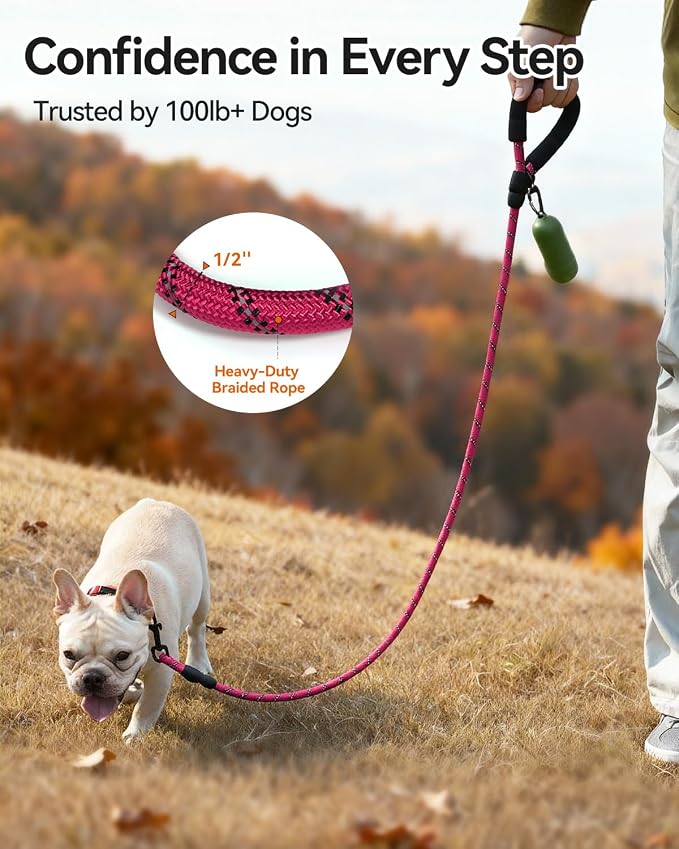 Joytale Dog Leash for Small Dogs, Heavy Duty Nylon Leashes with Comfortable Padded Handle and Highly Reflective Threads, Ideal for Walking and Training, Hotpink, 6'×3/8''