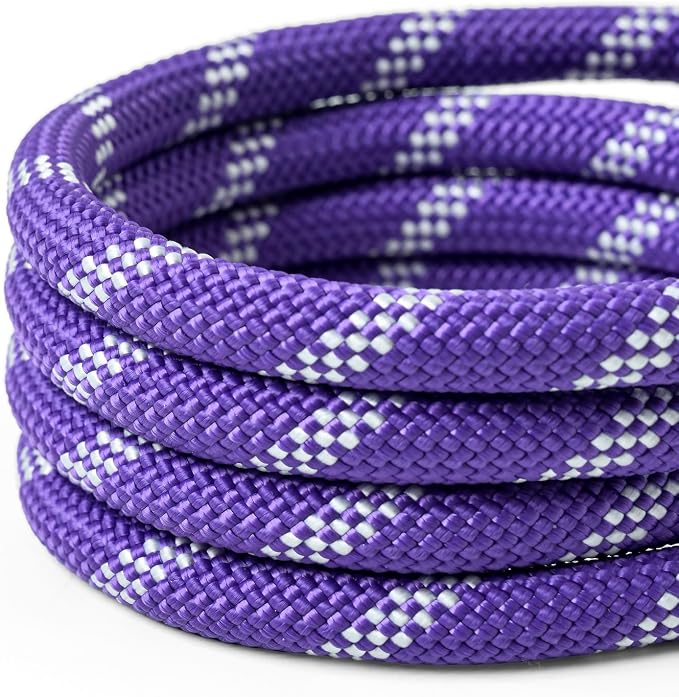 WePet Dog Training Slip Leash, No Pull, Durable Reflective Lead, Puppy Heavy Duty Loop Rope, Comfortable Handle, 6 ft, 1/2 inch, diam. Purple/Black