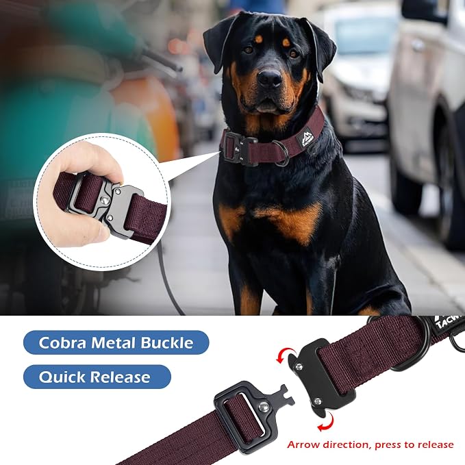 Dog Collars for Small Dogs Christmas Boy Girl- Adjustable, Chew Proof Nylon Collar with Metal Quick Release Buckle and D-Ring for Dog Tags (Burgundy, S)