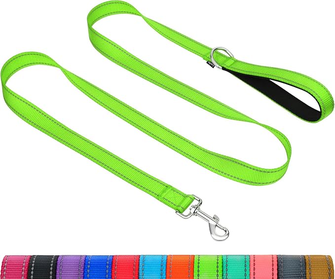 Taglory Dog Leash for Medium Large Dogs, Double-Sided Reflective for Night Walking, Neoprene Padded Handle, 1 inch by 5 ft, Heavy Duty for Medium Large Breeds 20-150 lbs, Green