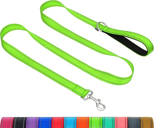 Taglory Dog Leash for Medium Large Dogs, Double-Sided Reflective for Night Walking, Neoprene Padded Handle, 1 inch by 5 ft, Heavy Duty for Medium Large Breeds 20-150 lbs, Green