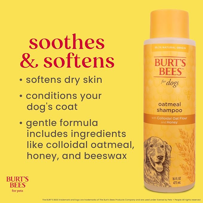 Burt's Bees for Pets Oatmeal Dog Shampoo with Honey, Soothing Formula for Itchy and Sensitive Dog Skin, Colloidal Oat Flour and Honey, pH Balanced, Sulfate-Free, 16 Fl Oz - 6 Pack