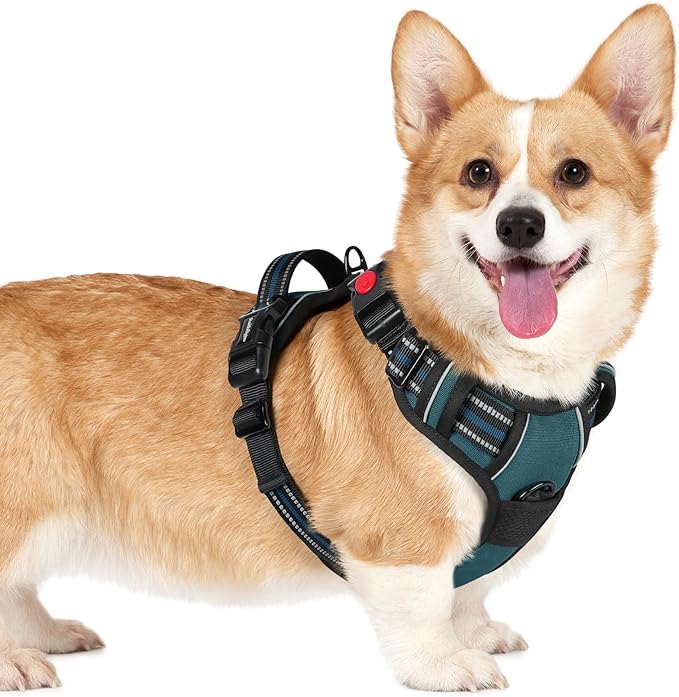 rabbitgoo Dog Harness Small Sized, No Pull Easy On & Off with 3 Buckles Pet Harness, Adjustable Soft Walking Vest with 2 Clips and Handle, Reflective for Small Dogs, Blue Coral, S