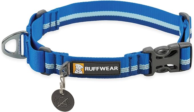 Ruffwear, Web Reaction Dog Collar, Escape-Proof Security Buckle, Adjustable Anti-Slip Martingale Collar with Durable Nylon Tubelok Webbing & Silent ID Attachment, Blue Pool, 11"-14"