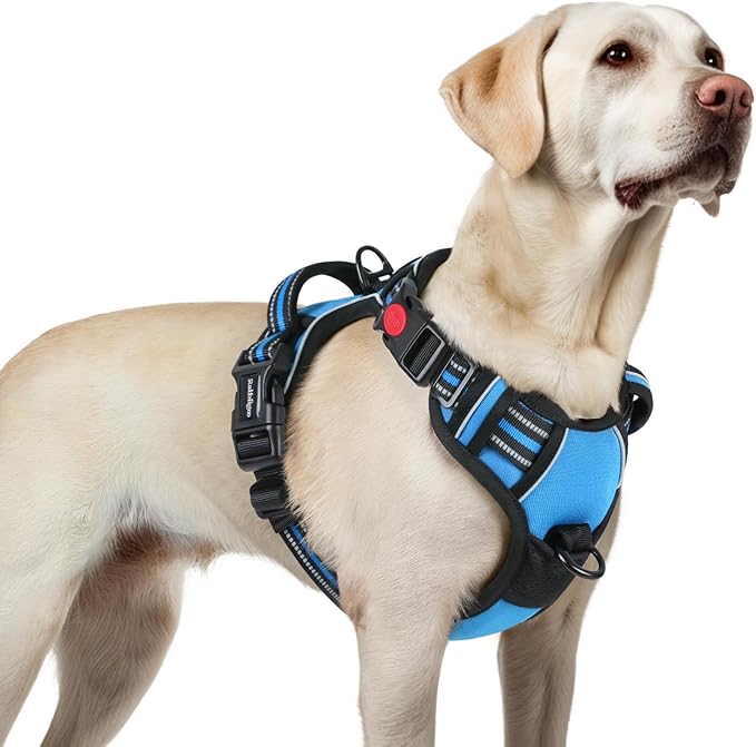 rabbitgoo Dog Harness for Large, No Pull Easy On & Off with 3 Buckles Pet Harness, Adjustable Soft Walking Vest with 2 Clips and Handle, Reflective for Large Dogs, Sky Blue, L