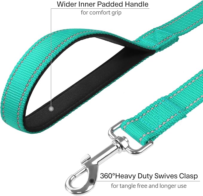 FunTags 4FT Turquoise Reflective Dog Leash for Large & Medium Dogs Training, Soft Padded Handle Comfortable Grip, Heavy Duty Nylon, Reflective for Night Walking, 1in Wide
