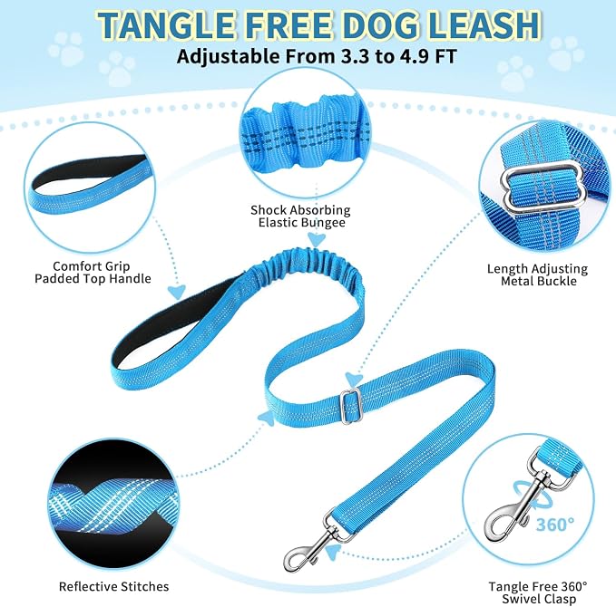 Lukovee No Pull Dog Harness and Leash Set, Soft Padded Small Dog Harness, Neck & Chest Adjustable Reflective Vest Puppy Harness with 4ft Lightweight Anti-Twist Dog Leash for Small Dogs (LBL, XS)