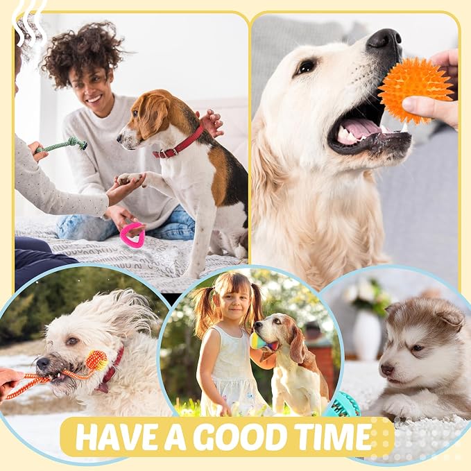 LOYEE Puppy Toys 21 Pack, Small Dog Chew Toys with Rope Toys for Teething Pet Cute Squeak Toy with Treating Ball for Puppy, Small Dogs - 21 Pack