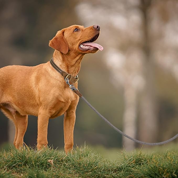 Mile High Life | Premium Leather Dog Leash | Strong Rope Leash | Leather Handle | Zinc Alloy Strong Clasp | Small Medium Large Dogs | 4/5/6 Feet(Brown, 48 Inch (Pack of 1))