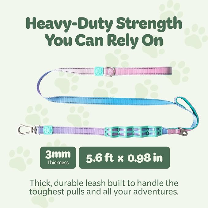 Desired Things Bungee Dog Leash Reflective Training Leash with Shock Absorbent Spring, Emergency Pull Handle, Collar Latch, D-Ring Buckle for Dog Treats, Poop Bags, Puppy Essentials - Pink and Blue