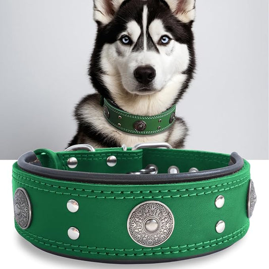Genuine Leather Dog Collar for Large Dogs,2 in Wide Heavy Duty,GN-S | Handmade,Stainless Steel Pin Buckle,Soft Padded,Alloy Studded,Luxury Eye-catching Design,Medium Large Giant Breeds,15-19 in