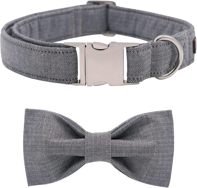 Lionet Paws Dog Collar with Bowtie, Durable Adjustable and Comfortable Collar for Small Dogs Puppies and Cats, Neck 10-16in