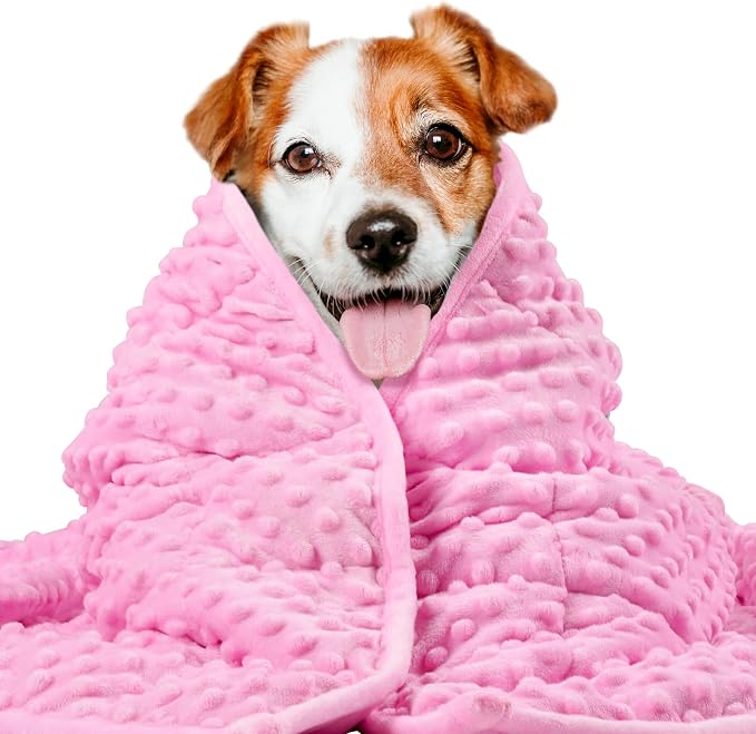 LaSyL Weighted Blanket for Pets | Thunder Blanket for Dogs Anxiety | Premium Soft Minky | Relaxation & Calming & Anti Anxiety | Used in Car, Bed, Couch | Pink, Washable Small (24"x32")
